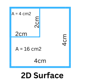 2d surface showing length and width to calculate area