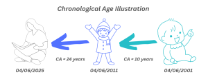 Illustrated timeline of human life stages from baby to adult, with each age related to chronological age calculation