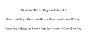 this image shows the formulas used for manual calculation and also used in the Time And a Half Calculator.