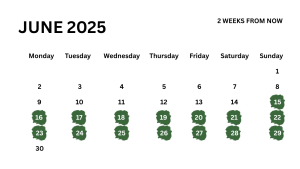 This image illustrates how Weeks From Today Calculator works. Represented will calendar